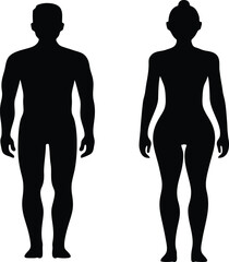 Fototapeta premium Male and Female Body Silhouette Vector Illustration