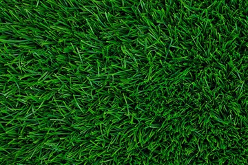 Vibrant Green Grass Texture Lush Meadow Background Image