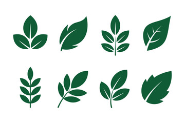 Green leaves vector illustration botanical design