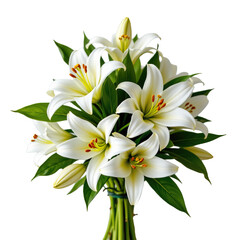 Obraz premium Beautiful White Lilies Bouquet with Vibrant Green Leaves Perfect for Celebrations and Special Occasions