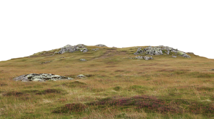 Grassy hillside with rocks and moss under a dark sky
