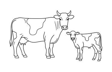 Cow calf drawing. It is a simple, black and white outline sketch of an adult cow and a calf standing together. Vector sketch line art draw.