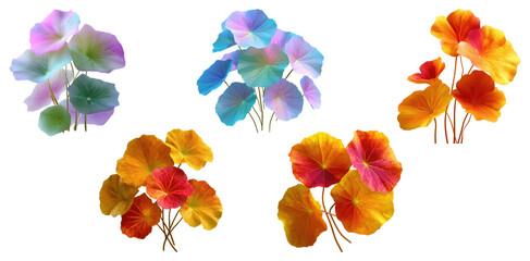 Collection of colorful pastel and autumn lotus leaves