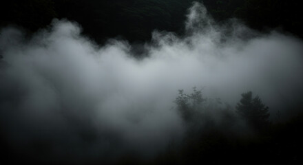 Fototapeta premium Mysterious foggy forest scene at dawn with dense mist and lush greenery