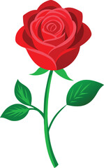 A single red rose with lush green leaves on a white background