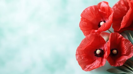 A beautiful arrangement of vibrant red poppy flowers against a soft mint background, radiating freshness and color, symbolizing beauty and the fleeting nature of life.