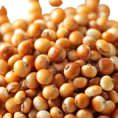 A close-up of golden quinoa seeds with a smooth surface, isolated on white, high-resolution macro shot.