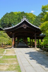 Fototapeta premium 東福寺 通天橋