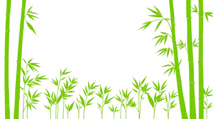 Fototapeta premium Lush green bamboo forest background design