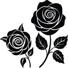 Elegant black and white rose illustration two roses with leaves
