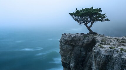 A single tree growing on a cliff edge above the ocean