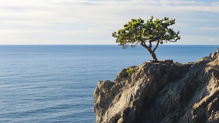 A single tree growing on a cliff edge above the ocean