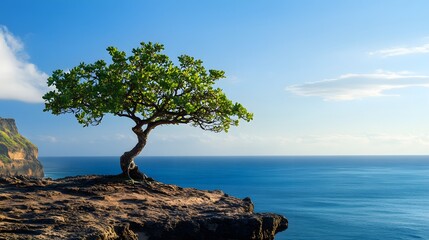 A single tree growing on a cliff edge above the ocean