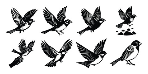 Obraz premium Various birds flying vector pattern animal Silhouette bundles.