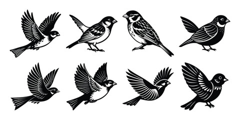 Silhouette vector bundles of different birds.