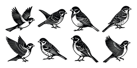 Silhouette vector bundles of  group of birds in different poses.