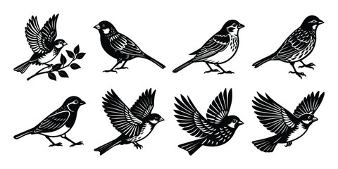 Obraz premium Diverse Birds in Varied Poses with Natural Elements Silhouette vector bundles.