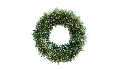 3d rendered ring of wild plants and white flowers isolated on black background. 3D floral geometric shape element. 3D donut covered in grass and scattered white flowers.