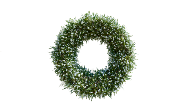 3d rendered ring of wild plants and white flowers isolated on black background. 3D floral geometric shape element. 3D donut covered in grass and scattered white flowers.  - Powered by Adobe