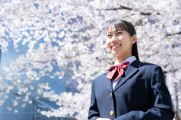 桜と高校生