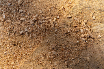 Schnittfläche von einem Baumstamm mit Sägemehl und Sägespänen, Hintergrundbild