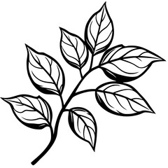 vector illustration of a plant