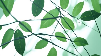 Vibrant Green Leaves Branch Botanical Nature Background