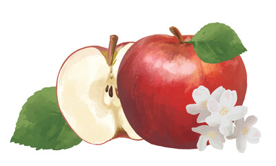 apple onepoint 水彩風で描いたリアルタッチな　りんごのワンポイント
