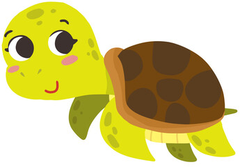 Cute turtle