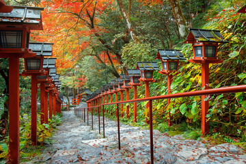 Kifune Shrine in Kyoto, Japan with beautiful autumn scenery. 