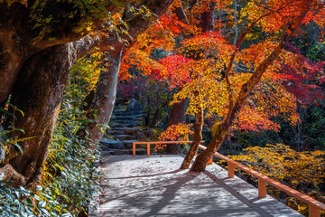 Hosen-in temple with colorful autumn gardens in Ohara, northern Kyoto