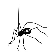 Spider icon