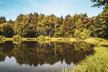 Baggersee near Achmer &ndash; Peaceful Lake with Forest Reflections in a Tranquil Landscape