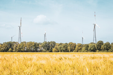 Wind Turbines with Wheat Field and Forest &ndash; Renewable Energy in Bramsche-Achmer, Germany