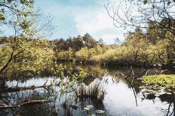 Baggersee near Achmer &ndash; Peaceful Lake with Forest Reflections in a Tranquil Landscape