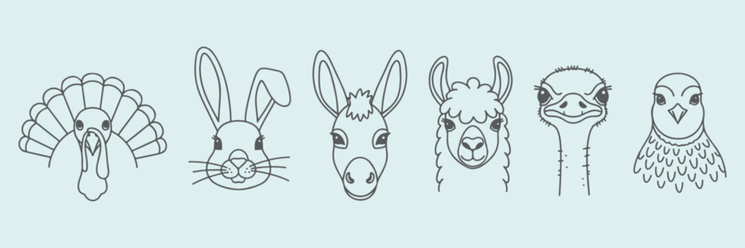 Farm animals like turkey, rabbit, donkey, llma, ostrich and quail hand drawn vector outline icons.