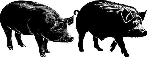 Modern illustration of a black pig icon logo in silhouette form, isolated on a white background, showcasing its outline and shadow in a side view profile