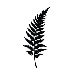 Fern Frond Curved Vector Silhouette