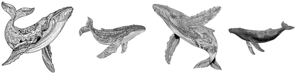 Modern illustration template featuring a hand-drawn whale engraving design