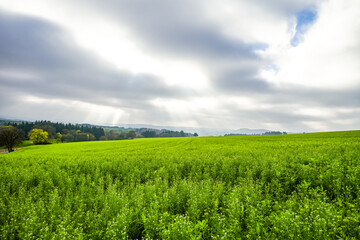 View of the landscape with fields and forests in the Eifel.
