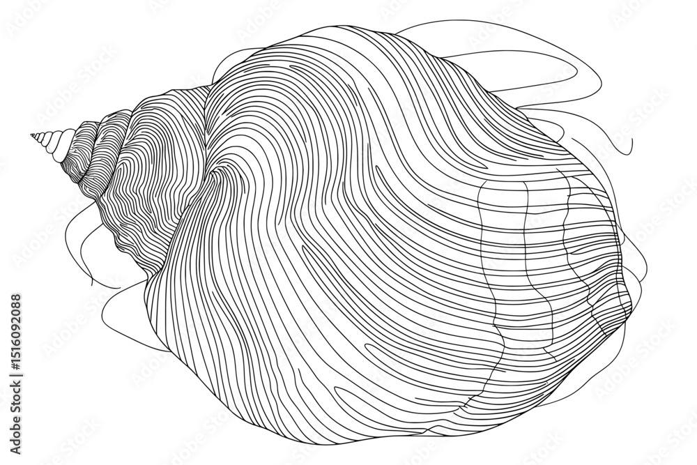 Poster the illustration features a sea shell in a continuous line art drawing style, characterized by a han