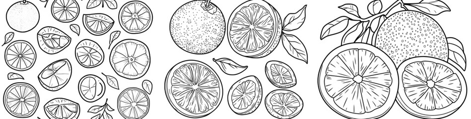A hand drawn outline of black and orange doodle fruits is set against a white background in doodle style