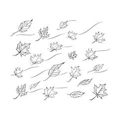 A doodle-style illustration of falling leaves is set against a backdrop of cold air waves during windy weather, complete with a maple leaf outline designed for print and design, shown as a solitary