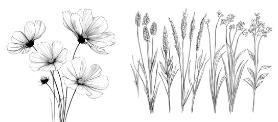Reed created an isolated graphic that was a black and white sketch illustration in a modern style