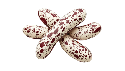 Spotted beans in a starburst