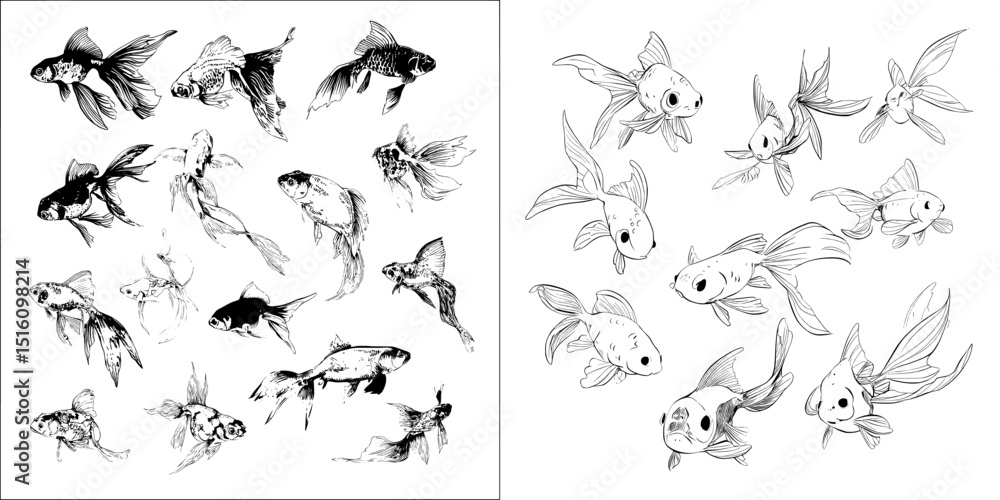 Poster goldfish of varying types posed in different ways highlighting their individual traits and movements