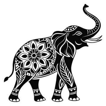 elephant vector illustration