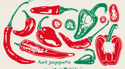 Various red, green hot chili Peppers. Whole, sliced, cut. Top, side view. Different types. Hand drawn modern Vector illustration. Farm market, natural eco product concept. Isolated design elements