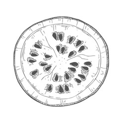 Hand drawn sketch style watermelon half cut vector illustration.