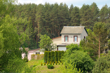White brick two-story house with slate roof on a hill near pine forest, cypress hedge, countryside cottage, cozy traditional home, real estate.